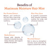 Maximum Moisture Hair Mist