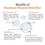 Maximum Moisture Hair Mist