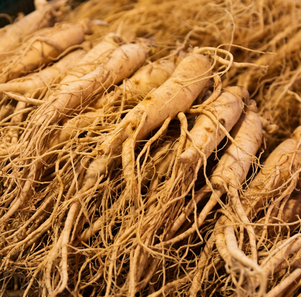Korean Ginseng