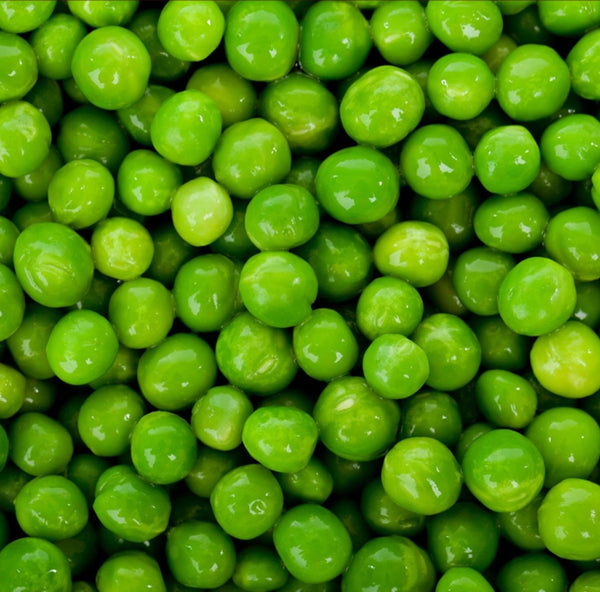 Pea Protein
