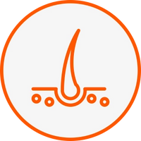 Developed by Trichologist & cosmetic scientists