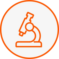 Clinically Backed Ingredients 