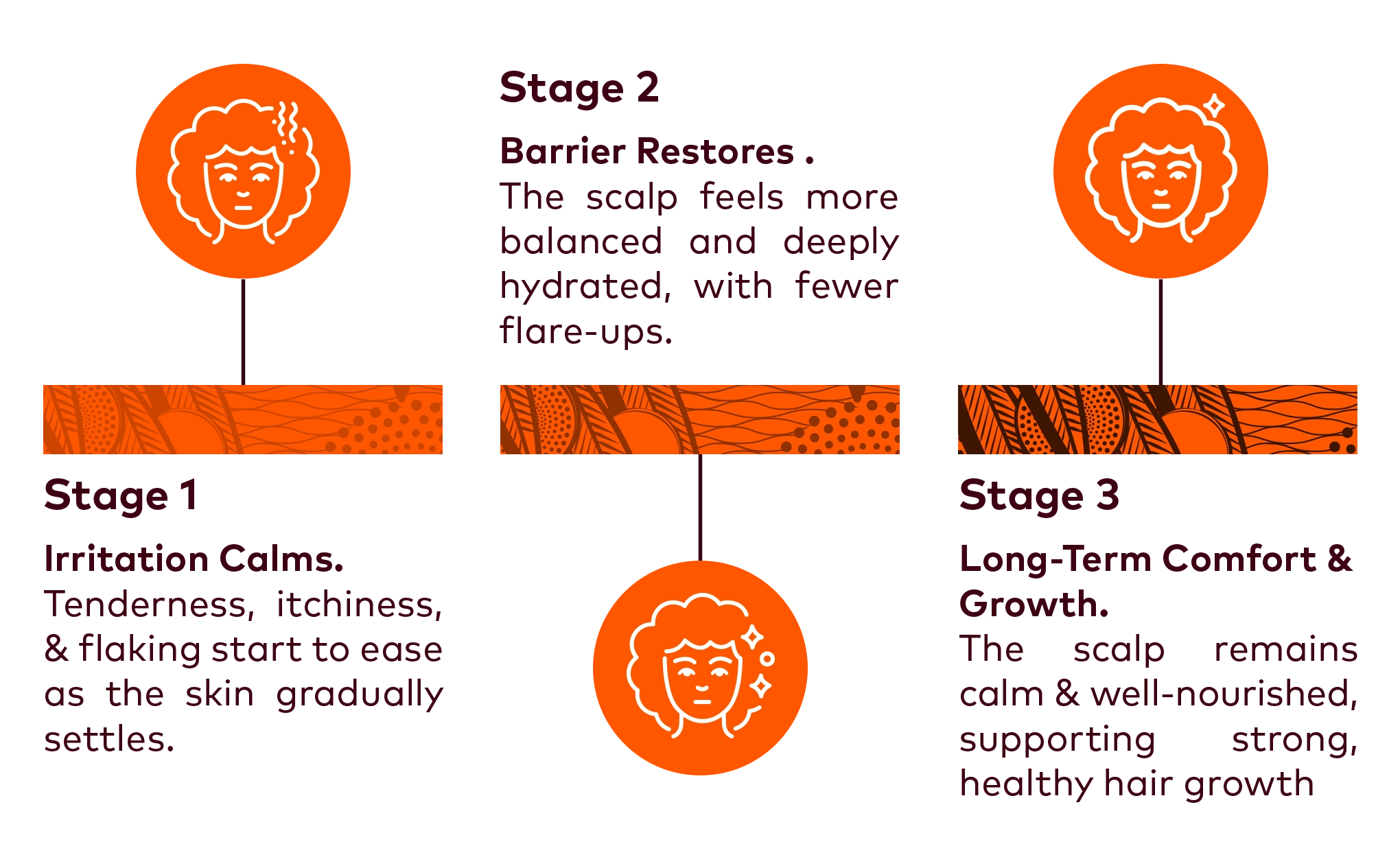 Infographic showing hair loss and regrowth information