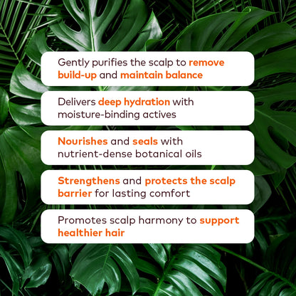 Complete Protective Style Kit