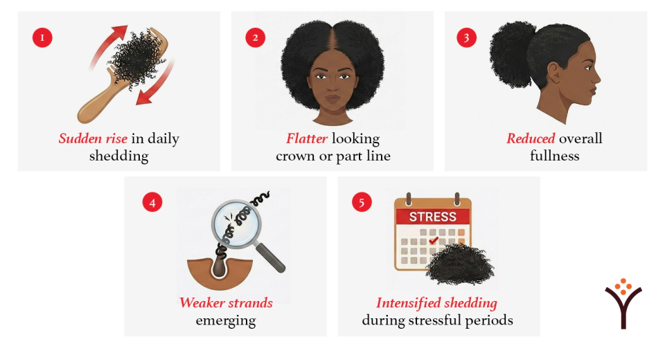How to tell if stress is causing your hair loss 1. Sudden rise in daily shedding. 2. Flatter looking crown or part line 3. Reduced overall fullness 4. Weaker stands emerging 5. Intensified shwdding during stressing periods