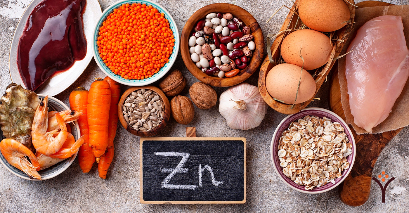 Foods with Zinc