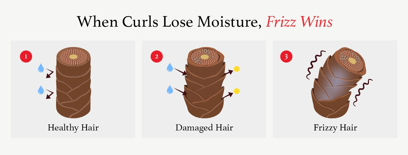 How texture hair loses moisture Illustration