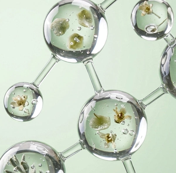 Candelilla Wax