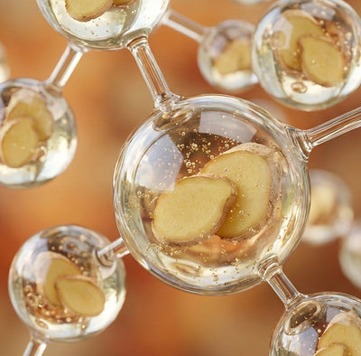 Zingiber Officinale (Ginger) Root Oil