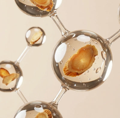Korean Ginseng