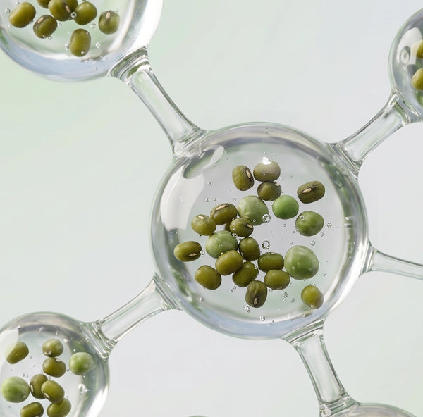Mung Bean Sprout Extract