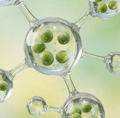Pea Peptides