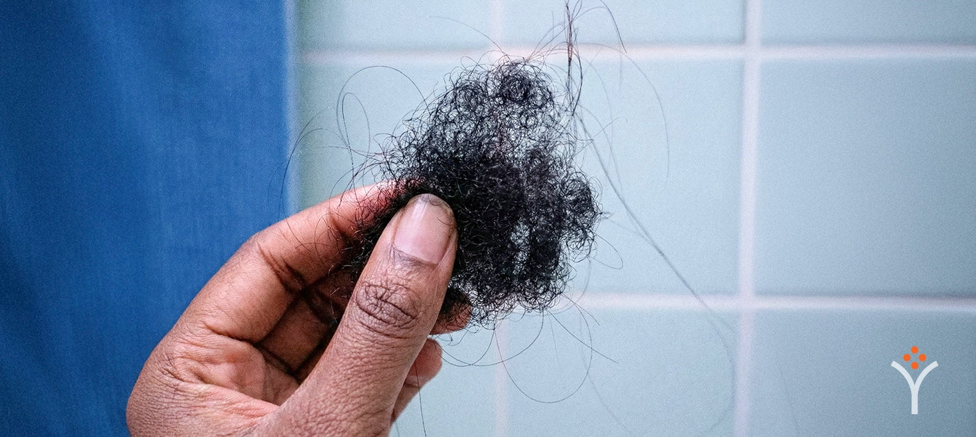 Hair collected after wash day