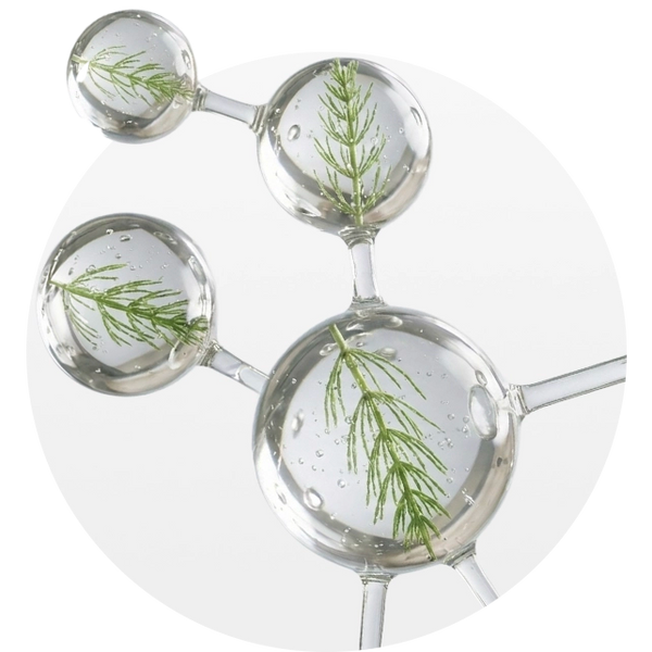 Botanical-Powered Formulas