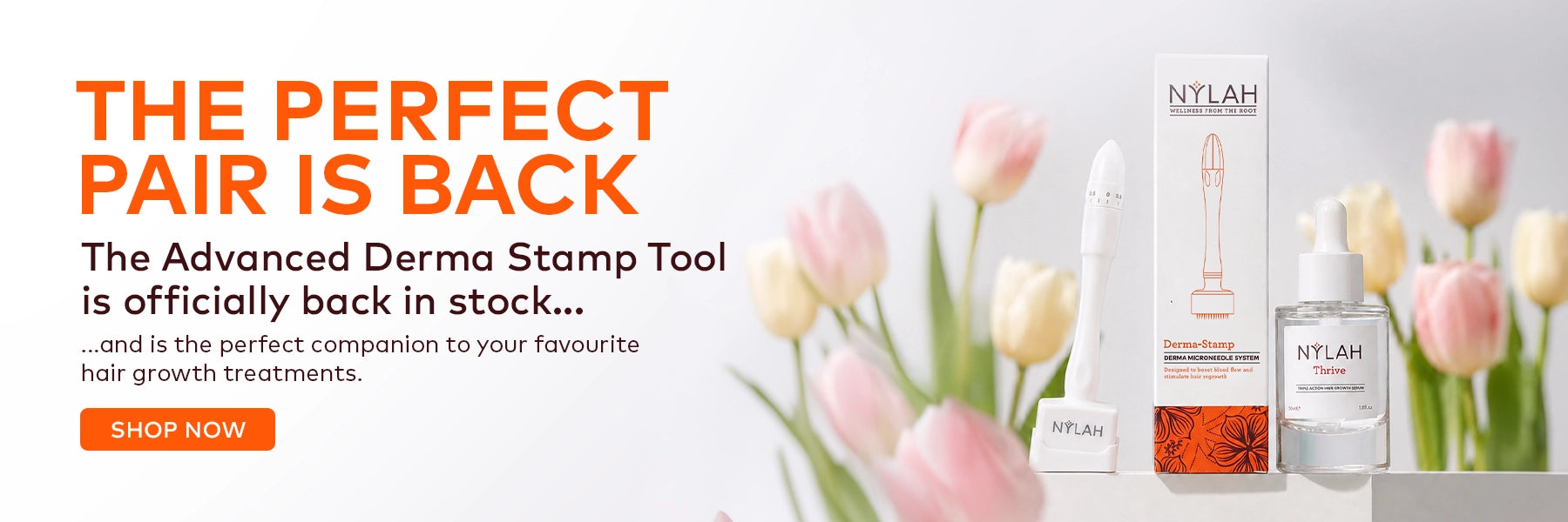 The Perfect Pair is back. The advanced dermastamp stamp tool is officially baclk in stock... and is the perfect companion to your favourite hair grwoth treatements