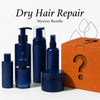 Dry Hair Repair Mystery Bundle