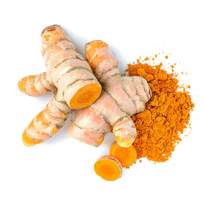 Curcuma Longa