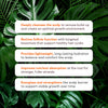 Root Revival System USP's