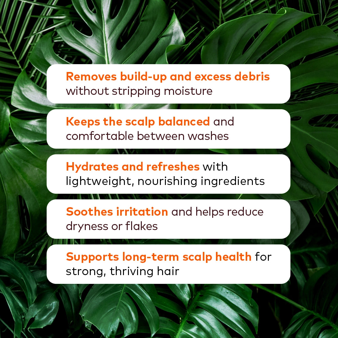 Scalp Care Kit USP's Nylah's Naturals