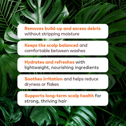 Scalp Care Kit USP's Nylah's Naturals